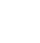 AOS资产 - 本地业务